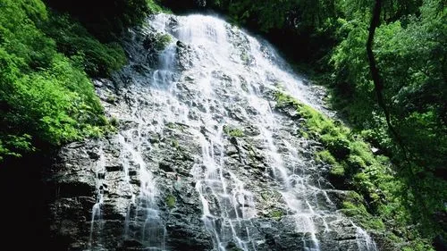 高标准智慧数字化